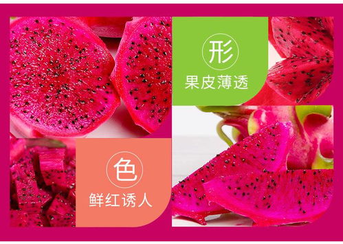 越南红心火龙果新鲜当季热带水果5斤进口白心批发