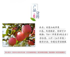 太苹盛事红遍中国陕西洛川苹果批发供应采购新鲜75mm水果价格优惠
